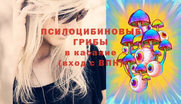 СК Зеленокумск