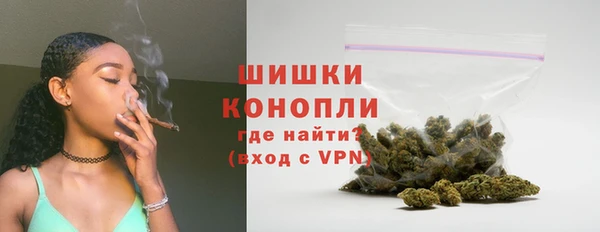 СК Зеленокумск