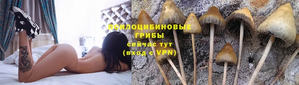 первитин Зеленодольск