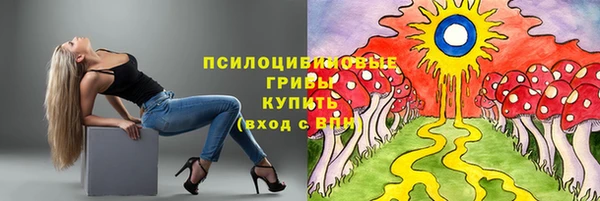 СК Зеленокумск
